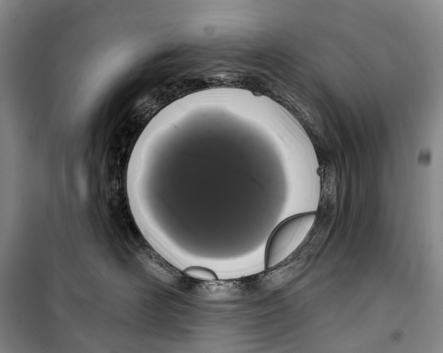 X0000099380526200806051124