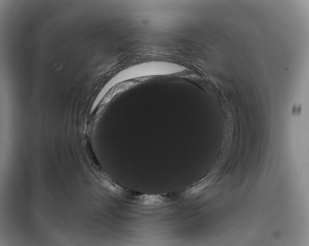 X0000099380528200806051124