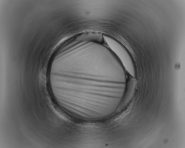 X0000099380530200806051123