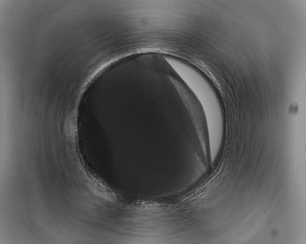 X0000099380531200806051123