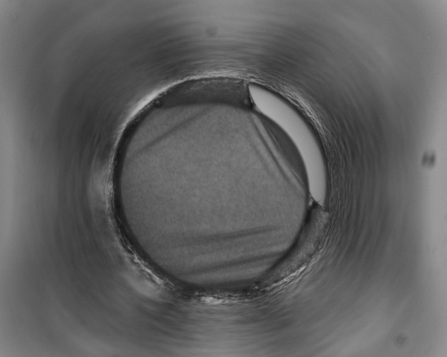 X0000099380532200806051123