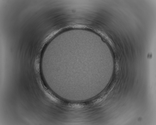 X0000099380533200806051123
