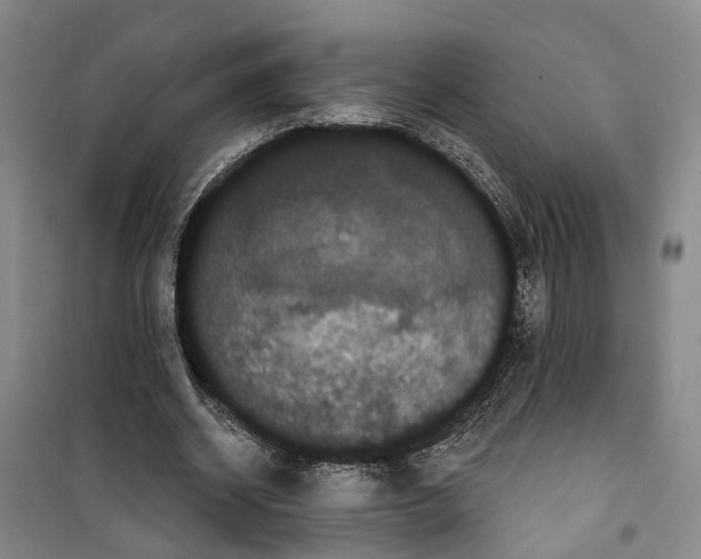X0000099380534200806051123
