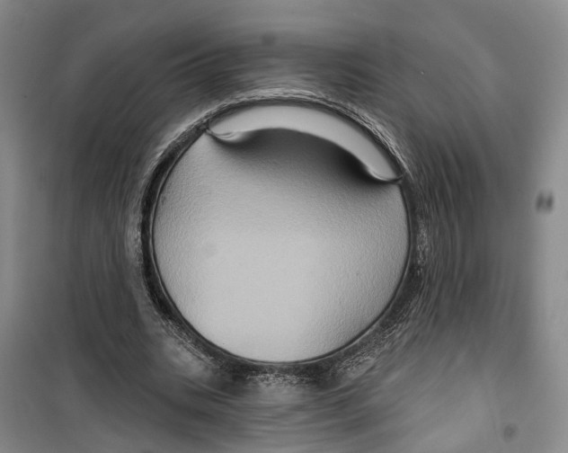 X0000099380535200806051123