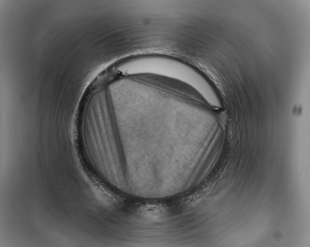 X0000099380536200806051123