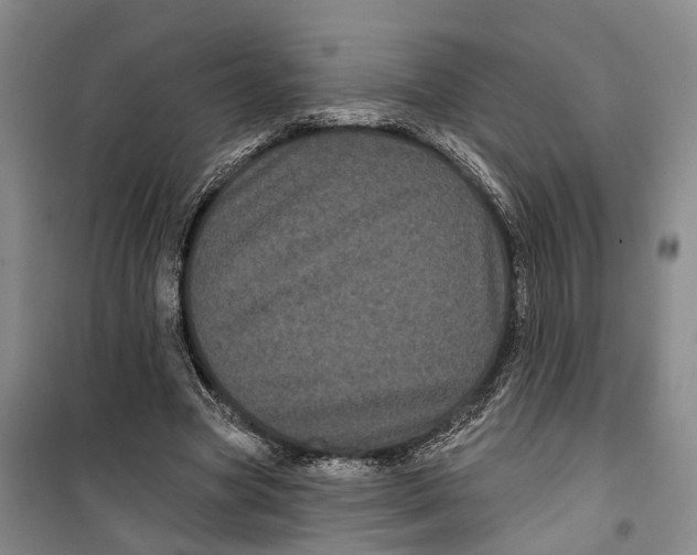 X0000099380537200806051123
