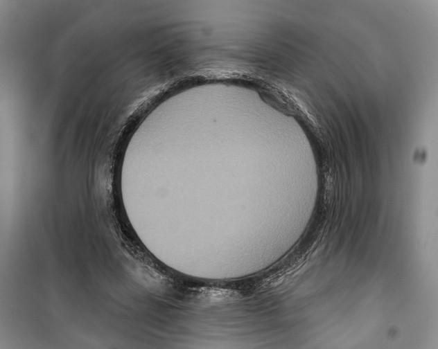 X0000099380539200806051123