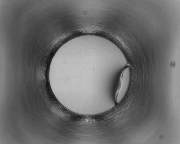 X0000099380543200806051123
