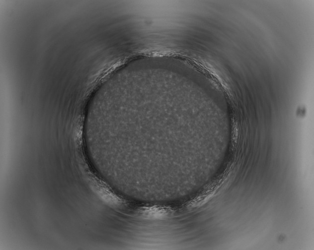 X0000099380545200806051123