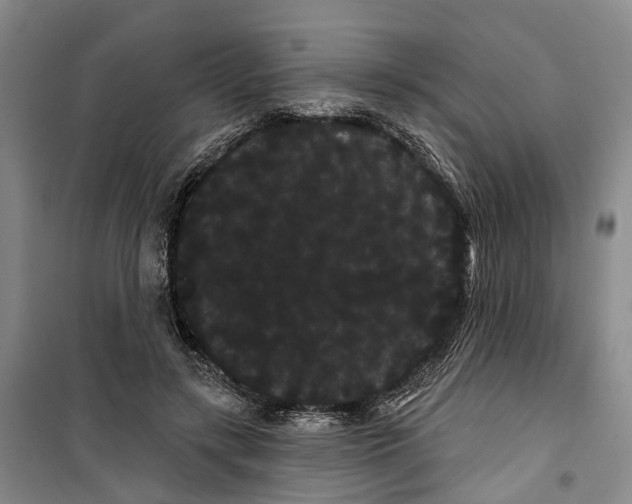 X0000099380547200806051123