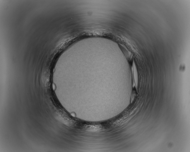 X0000099380548200806051123
