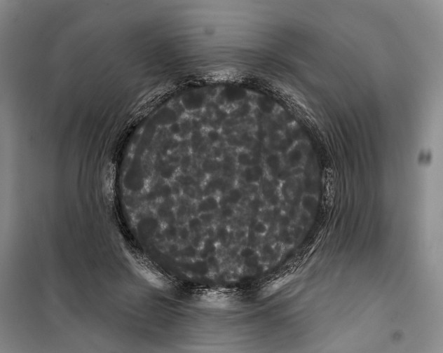 X0000099380550200806051123
