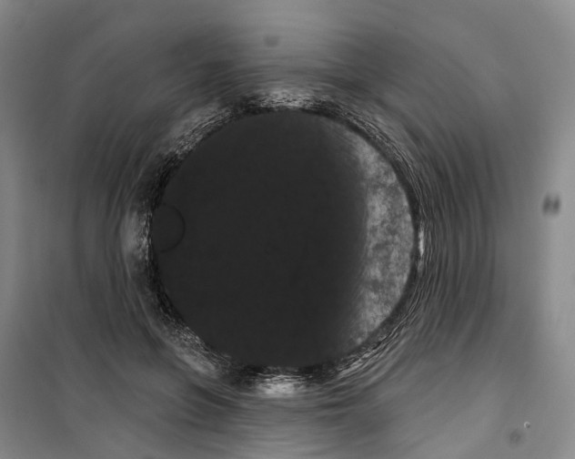 X0000099380551200806051123