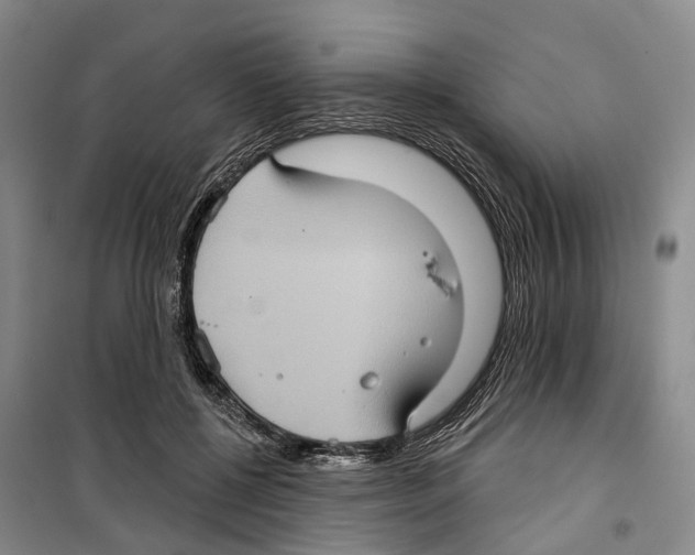 X0000099380552200806051123