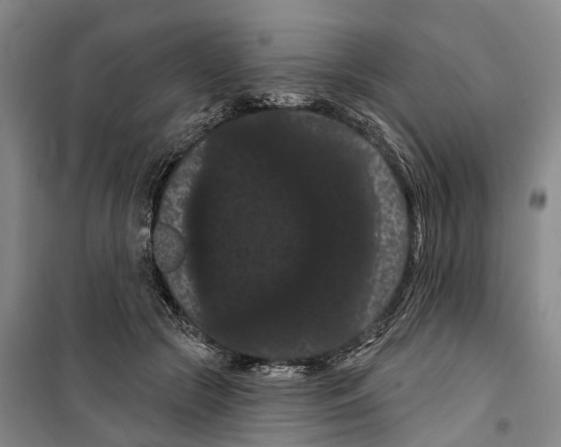 X0000099380553200806051123