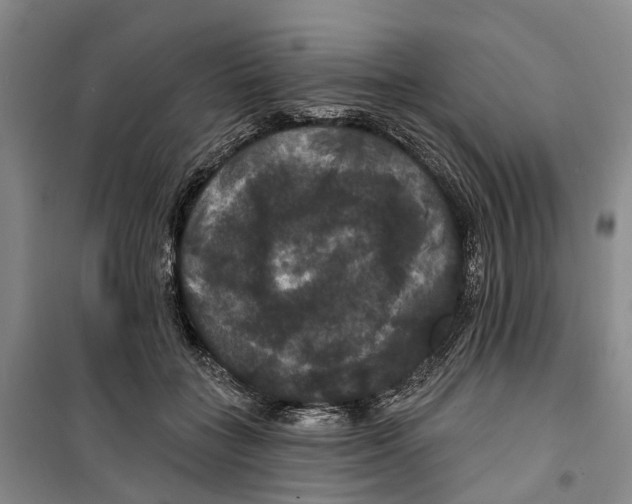 X0000099380555200806051123