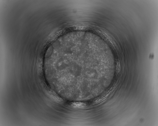 X0000099380557200806051123