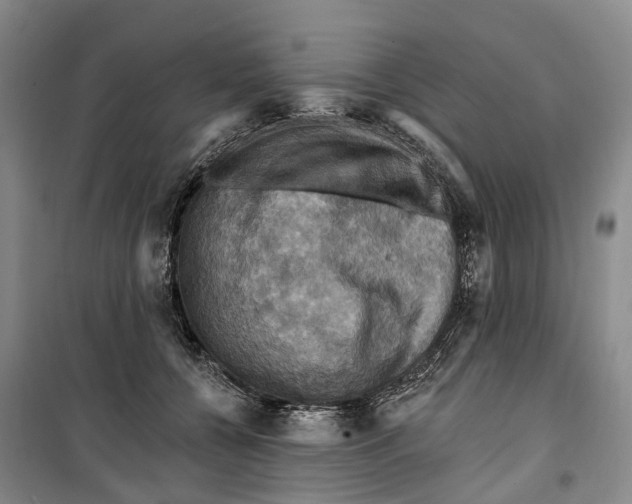 X0000099380560200806051123