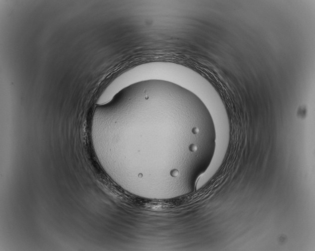 X0000099380564200806051123