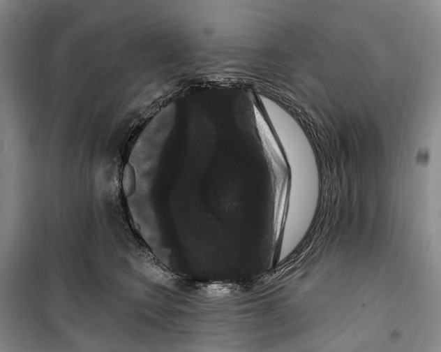 X0000099380566200806051123