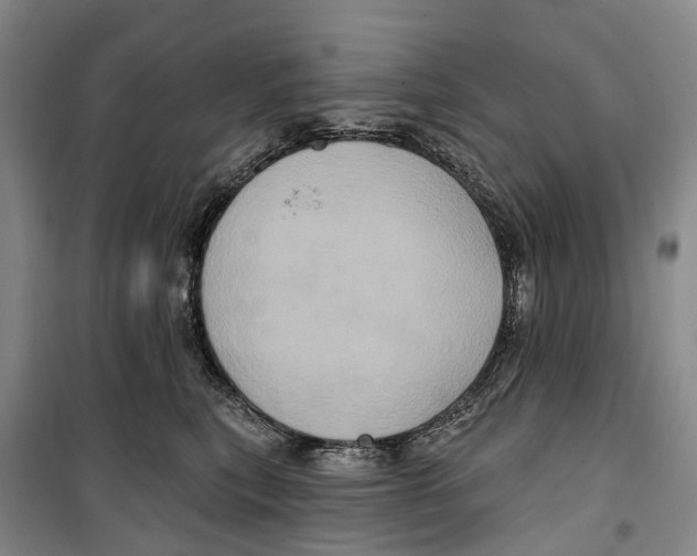 X0000099380567200806051123