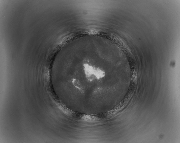 X0000099380568200806051123
