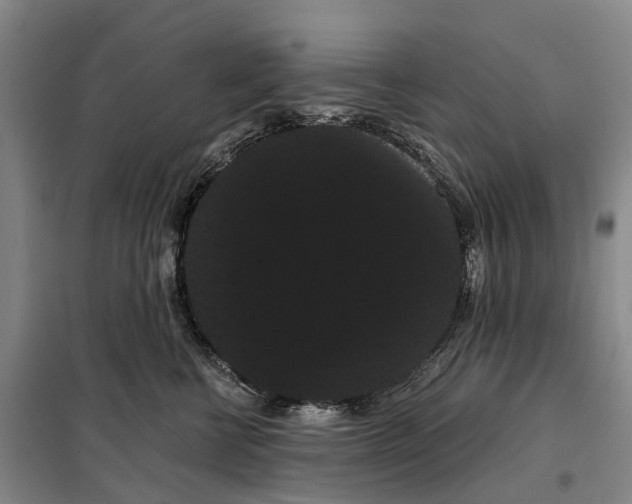 X0000099380570200806051123