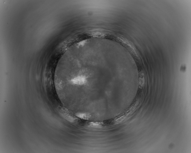 X0000099380573200806051123