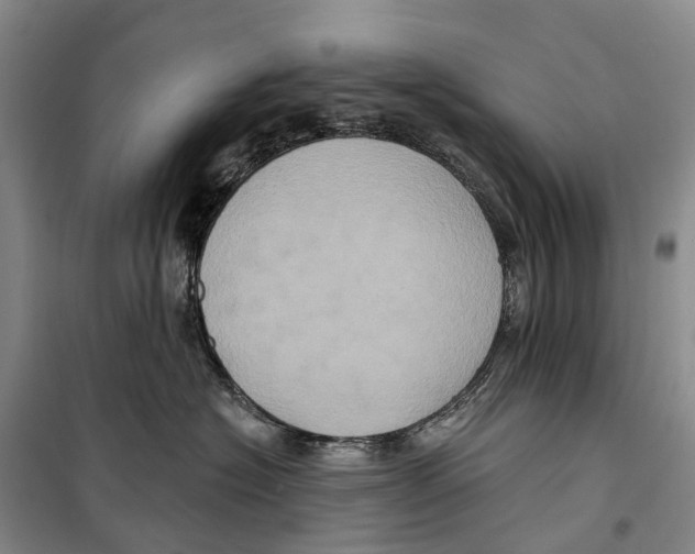 X0000099380574200806051123