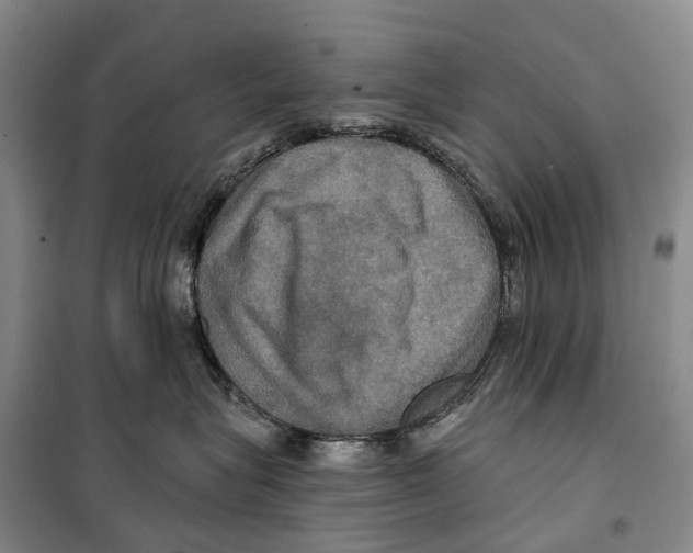X0000099380575200806051123