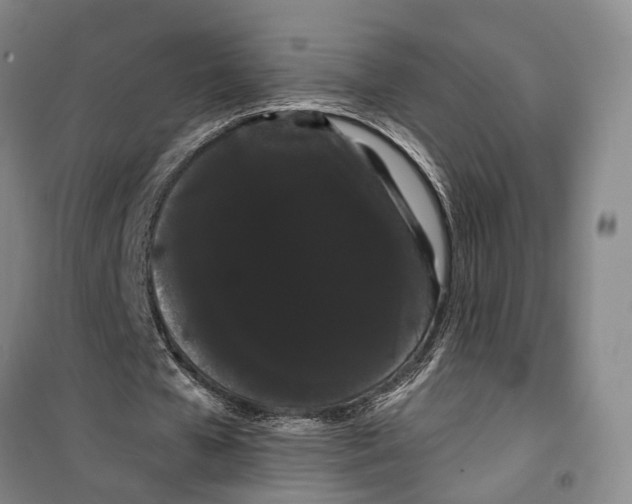 X0000099380577200806051123