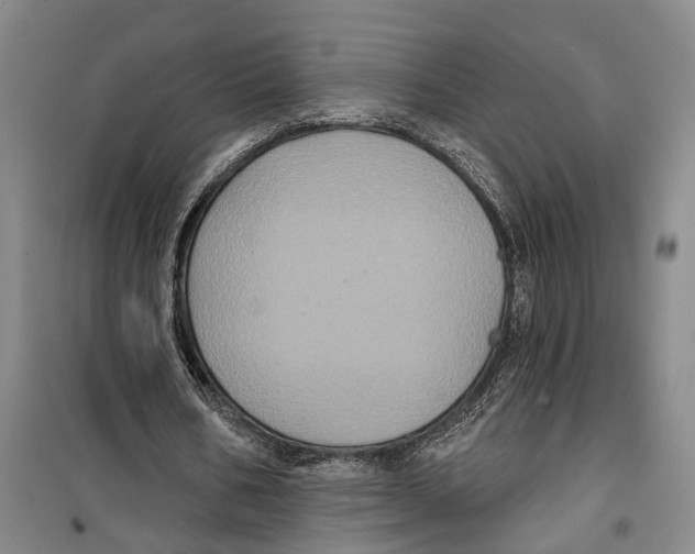 X0000099380578200806051123