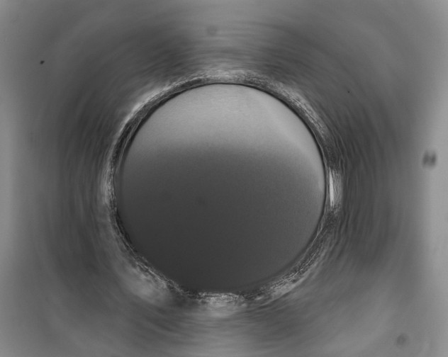 X0000099380579200806051123
