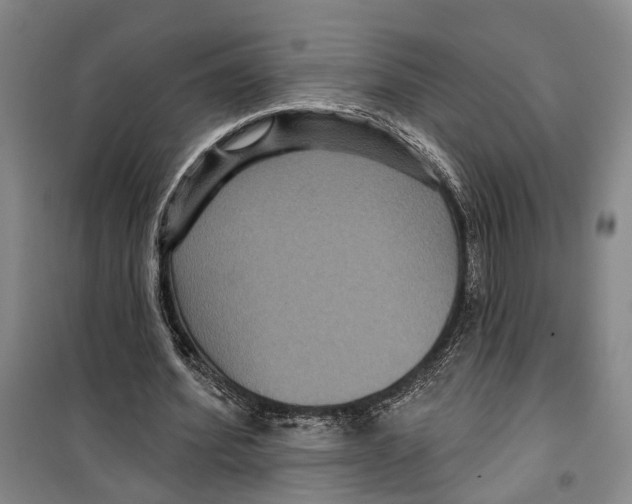 X0000099380580200806051123