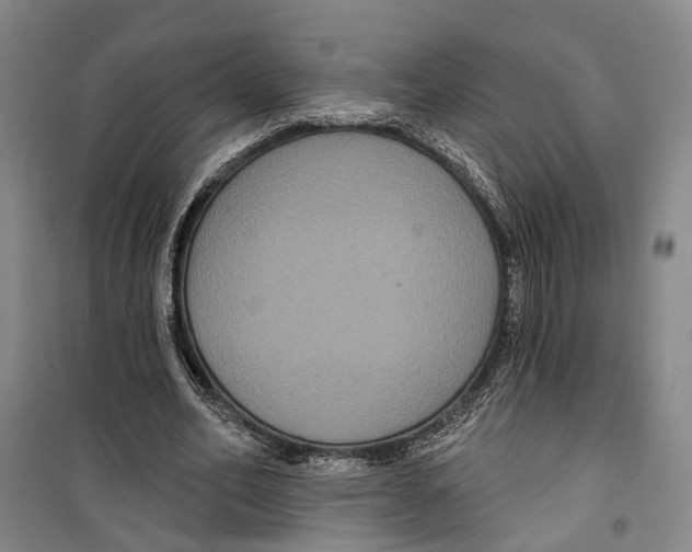 X0000099380582200806051123