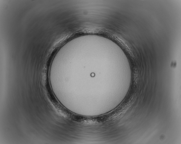 X0000099380586200806051123