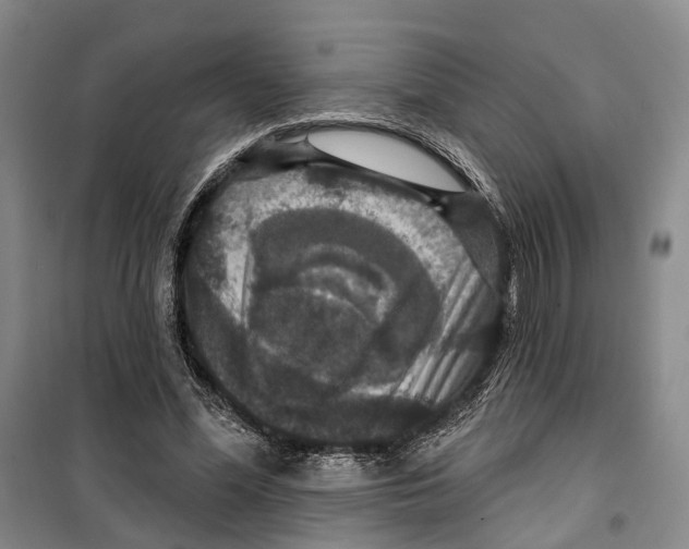 X0000099380588200806051123