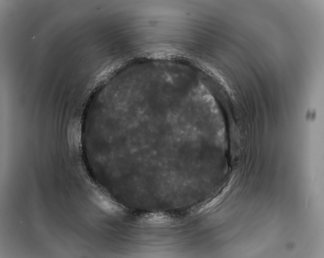X0000099380589200806051123