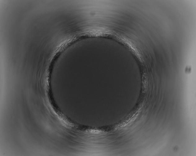 X0000099380590200806051123
