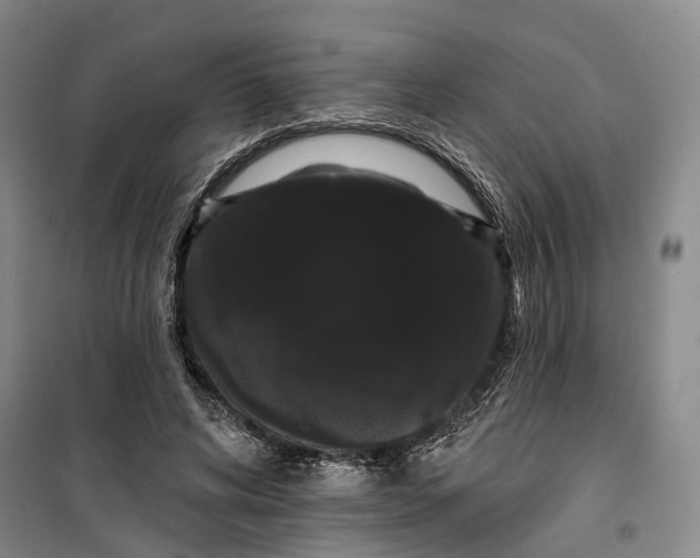 X0000099380592200806051123
