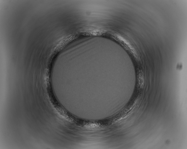 X0000099380594200806051123