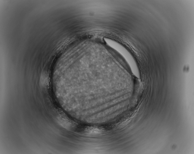 X0000099380597200806051123