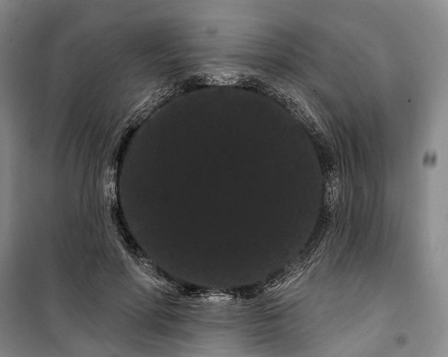 X0000099380598200806051122