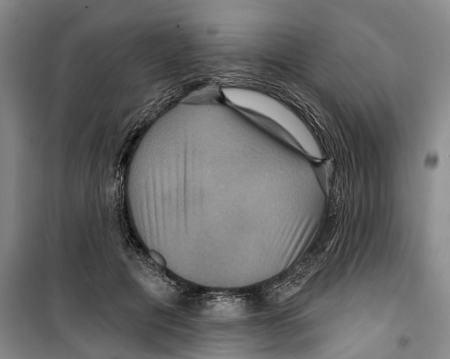 X0000099380601200806051122