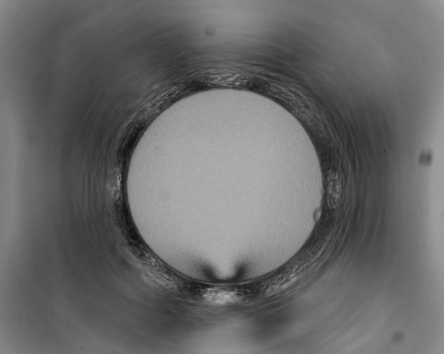 X0000099380602200806051122