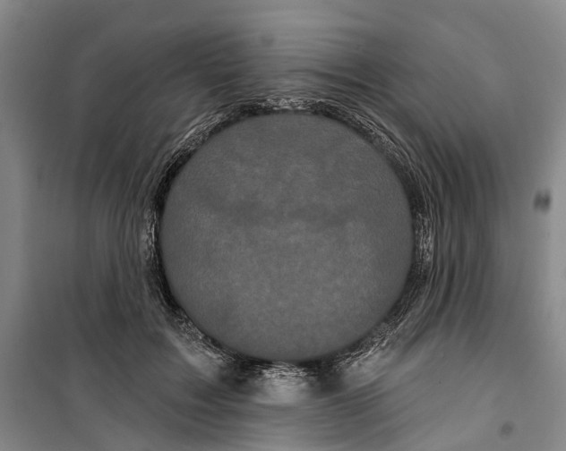 X0000099380603200806051122