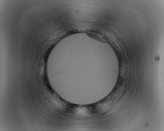 X0000099380604200806051122