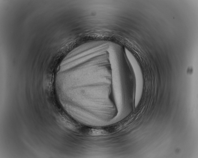 X0000099380605200806051122