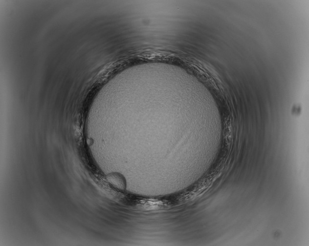 X0000099380607200806051122