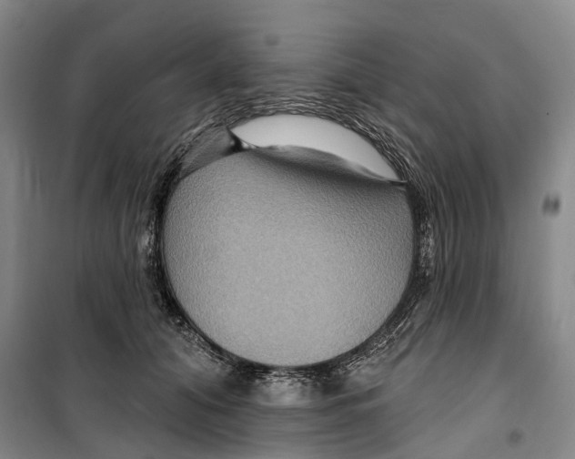 X0000099380608200806051122